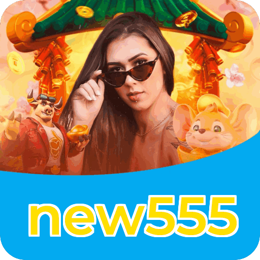 Interface new555